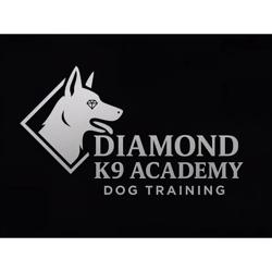 Diamond K9 Academy in Kettering (Desborough) - Opening Hours