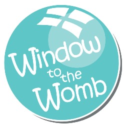 Window to the Womb Plymouth, opening hours