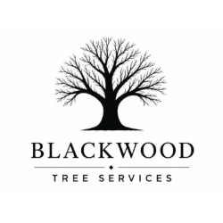 Blackwood Tree Services in Melton Mowbray (Ragdale) - Opening Hours